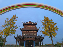 ��������ϴ����